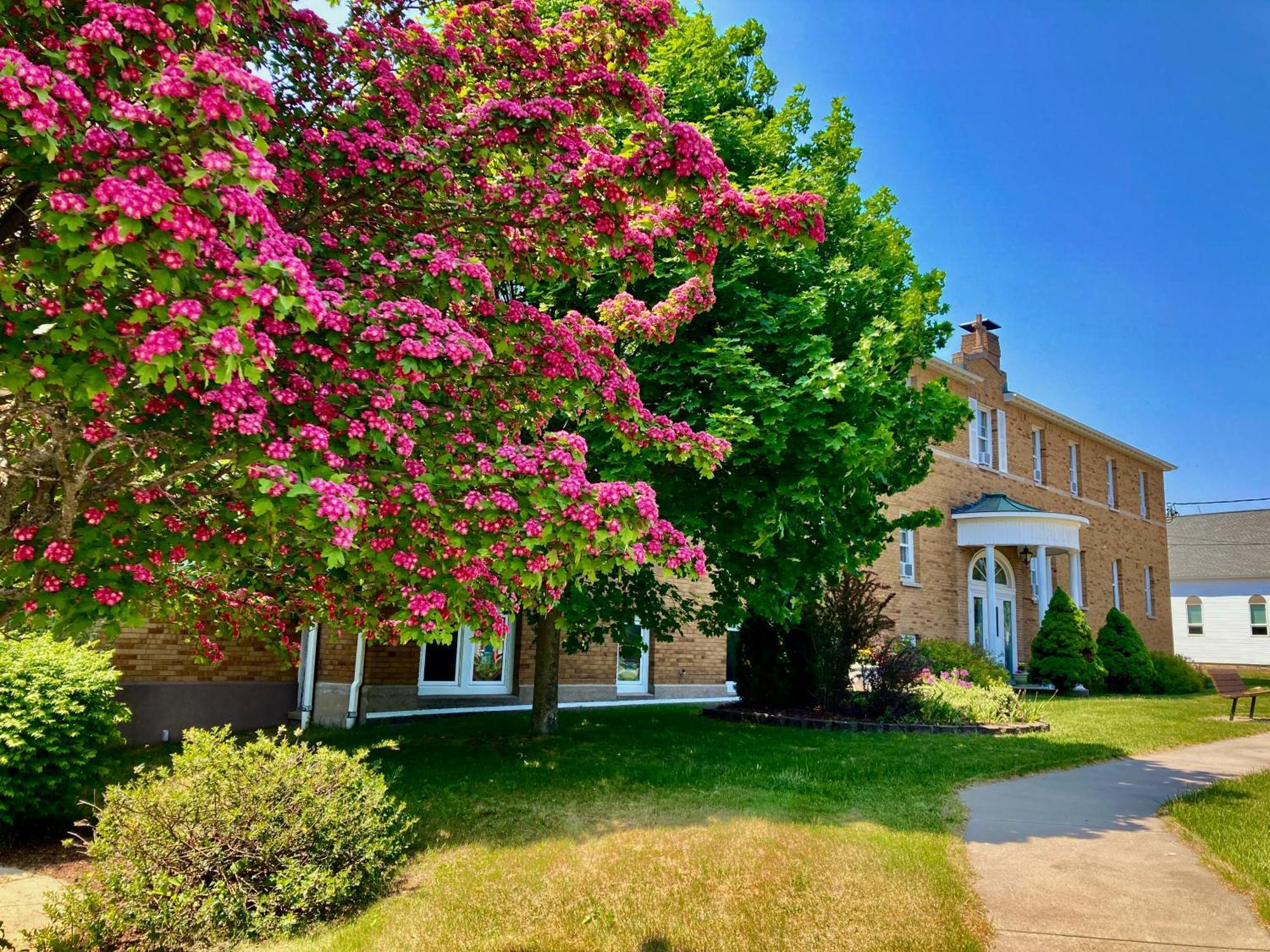 Garden Grove Retreat & Lodging Near Pictured Rocks, Fayette, Trails Kültér fotó
